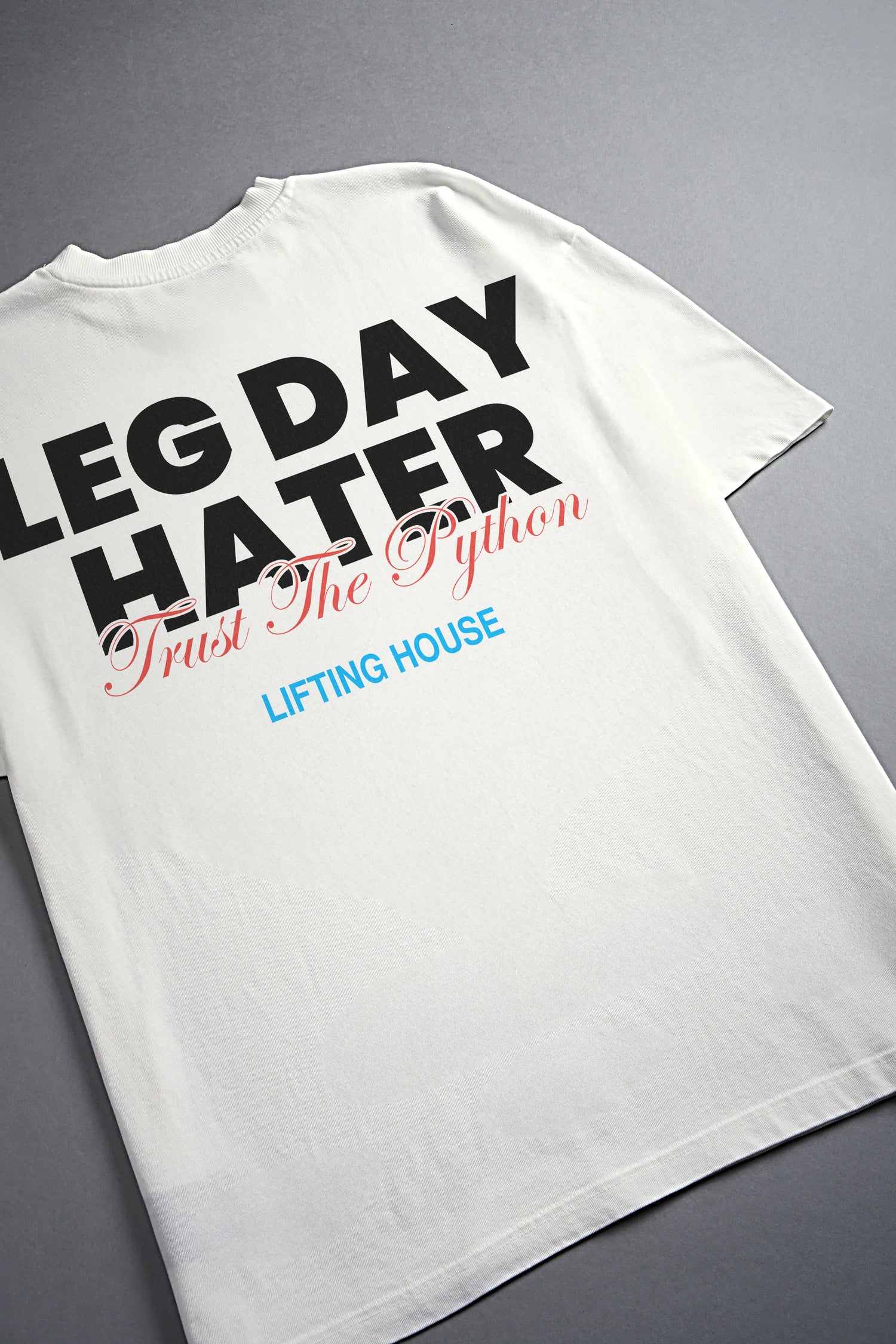 LEG DAY HATER 2 GRAPHIC T SHIRT - OVERSIZED