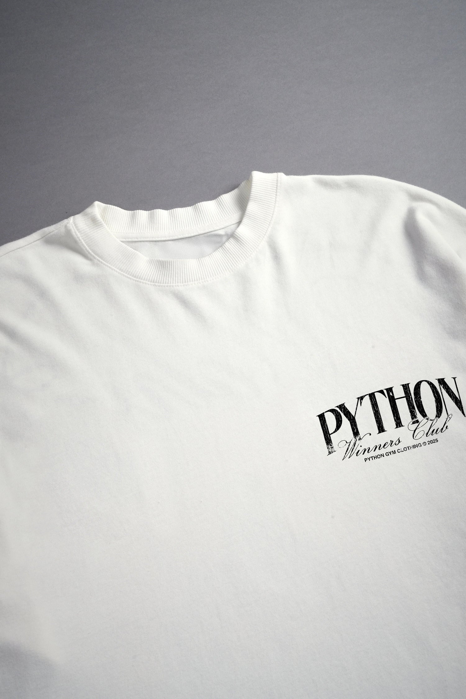 PYTHON RING GRAPHIC T SHIRT - OVERSIZED
