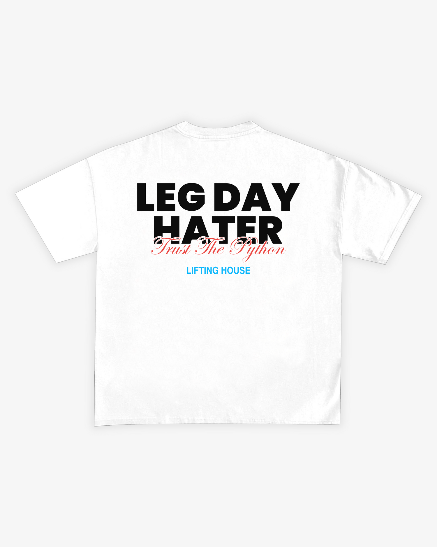 LEG DAY HATER 2 GRAPHIC T SHIRT - OVERSIZED