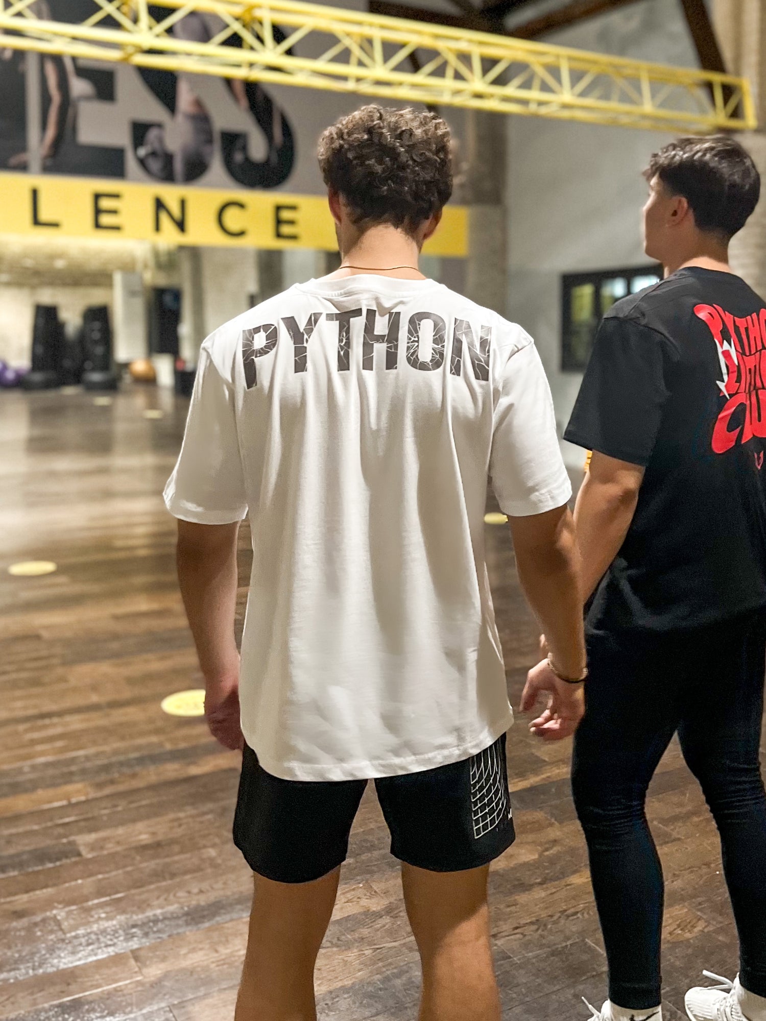 Python Broken Letters Oversized