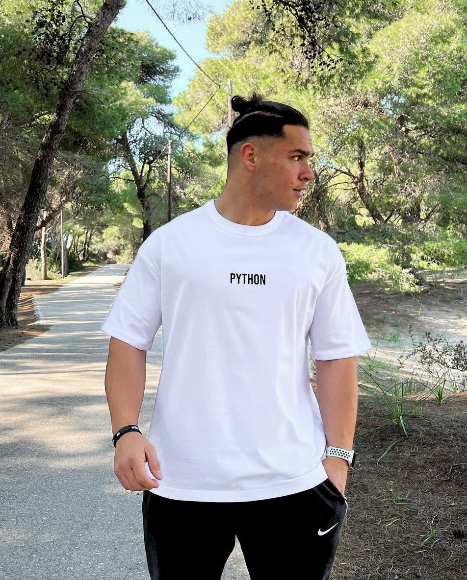 Python Broken Letters Oversized