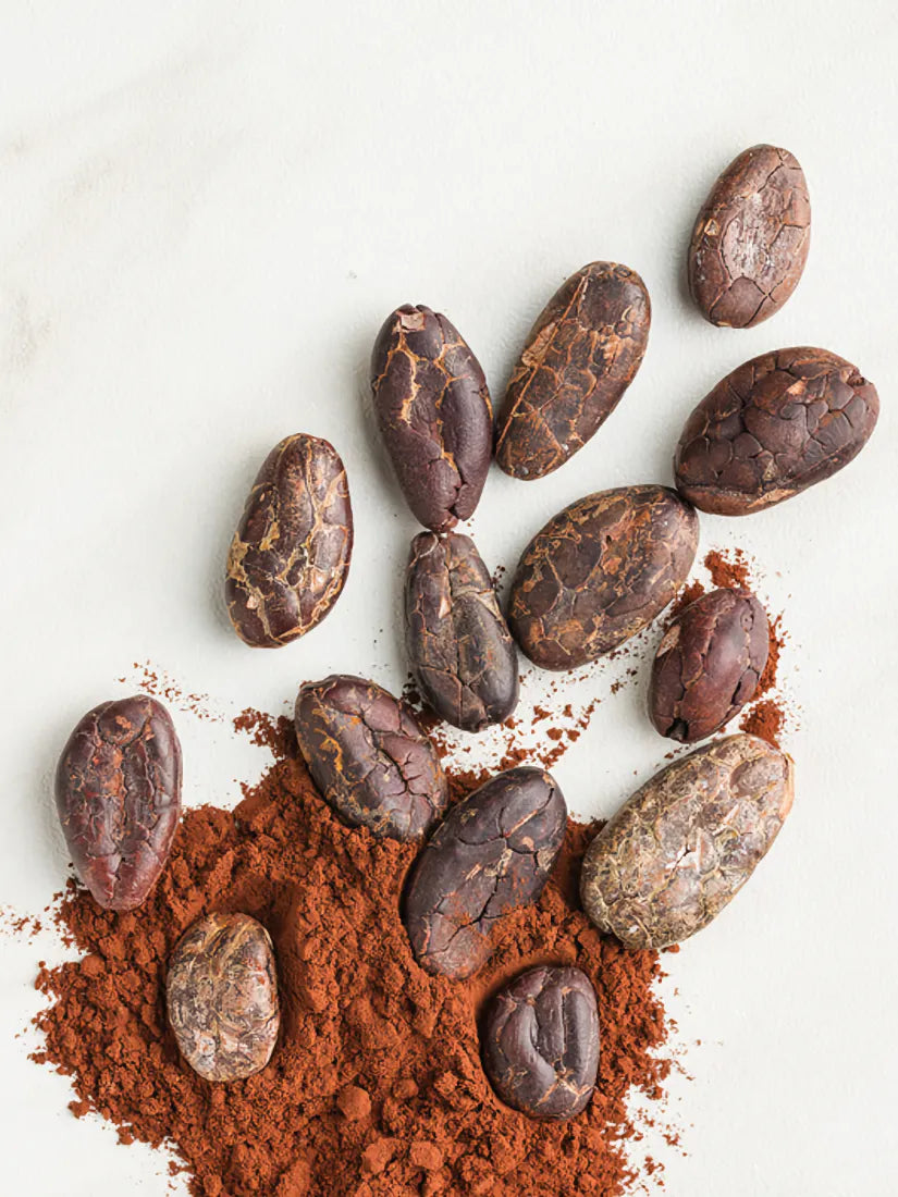 Πρωτεΐνη Power Mix Cocoa 350γρ
