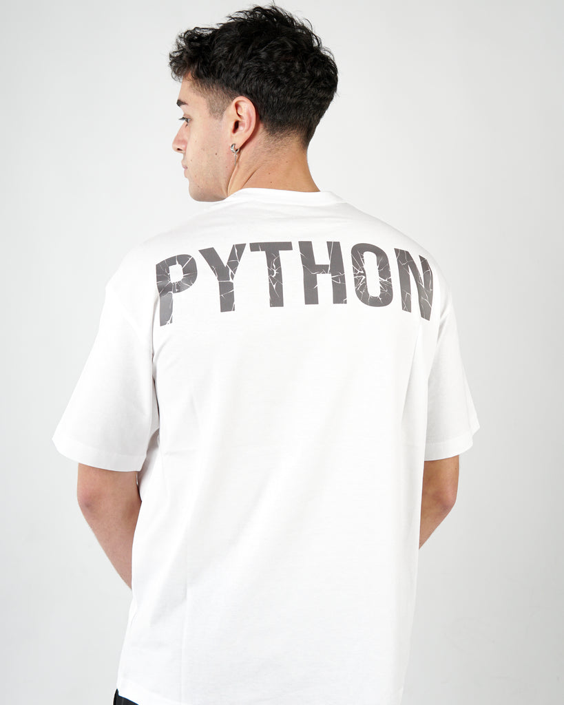 Python Broken Letters Oversized