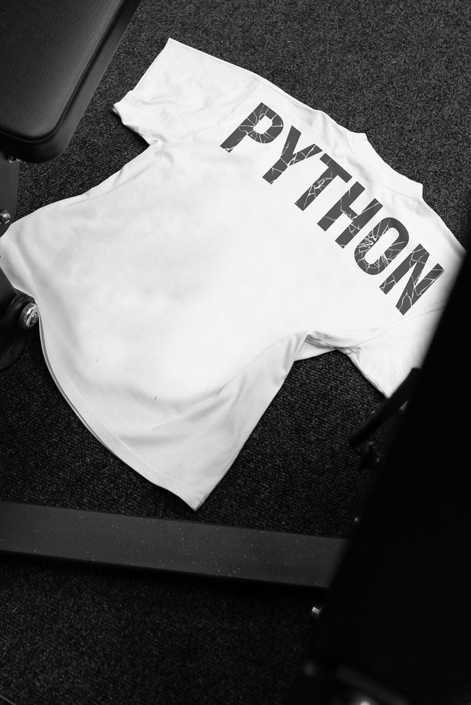 Python Broken Letters Oversized